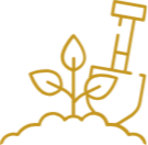 Icon gold