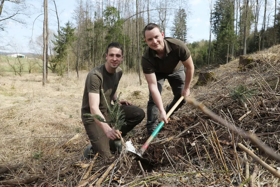 Wald4Leben Gründer Michael Poppinger und Lukas Schmalzbauer pflanzen einen wurzelnackten Nadelbaum.