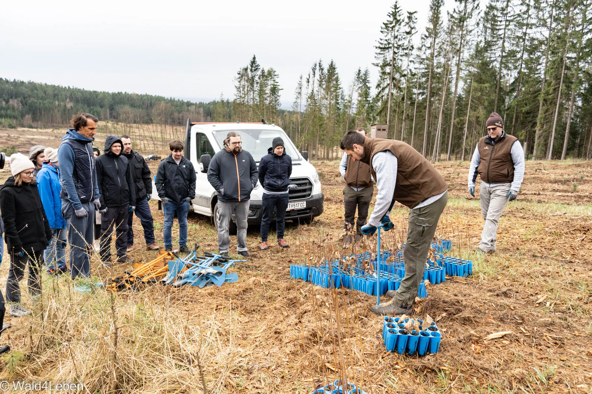 Teambuilding mit Marketagent im Frühjahr 2023 auf der Aufforstungsfläche in Hollenbach