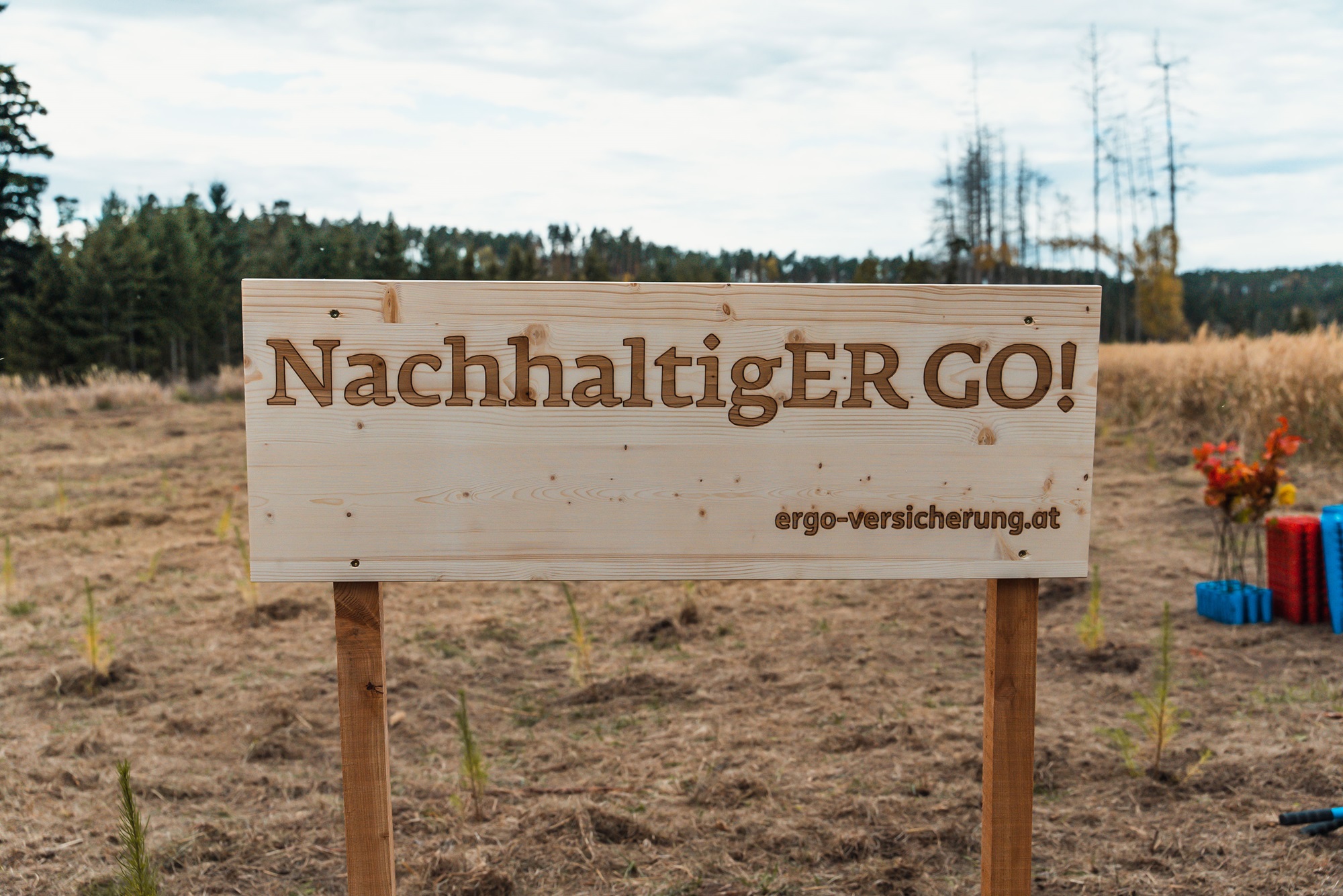 Teambuilding mit Ergo