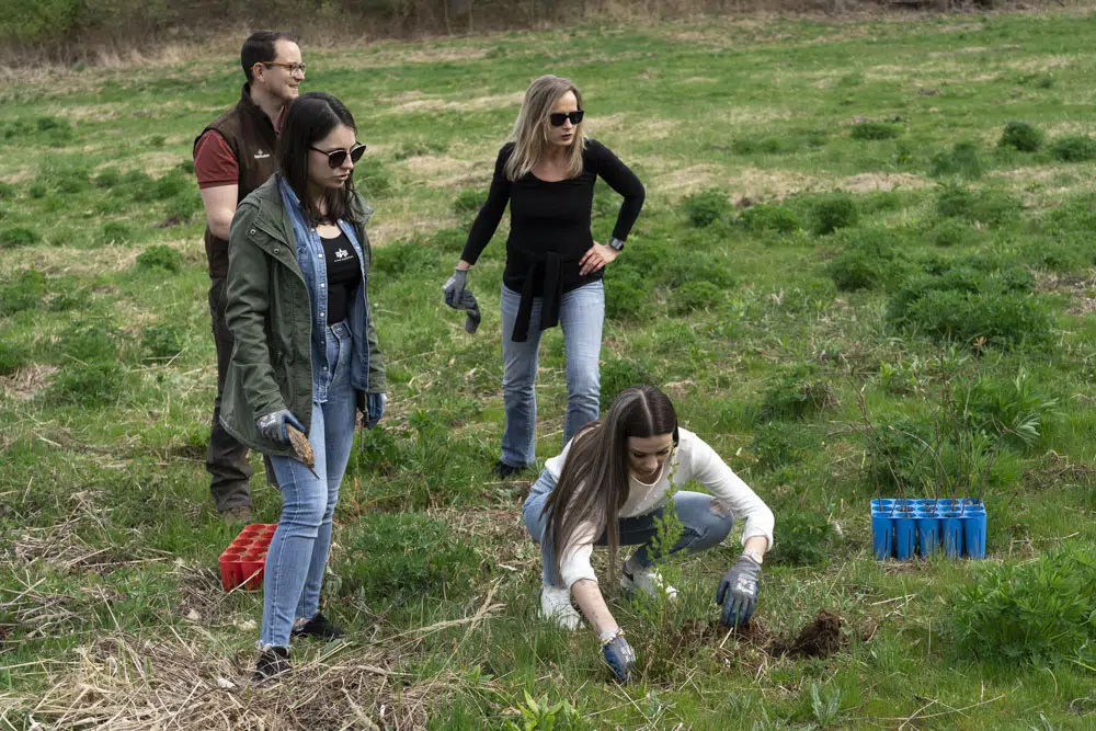 Teambuilding mit Bestattung Himmelblau im Frühjahr 2022 auf der Aufforstungsfläche in Weinern