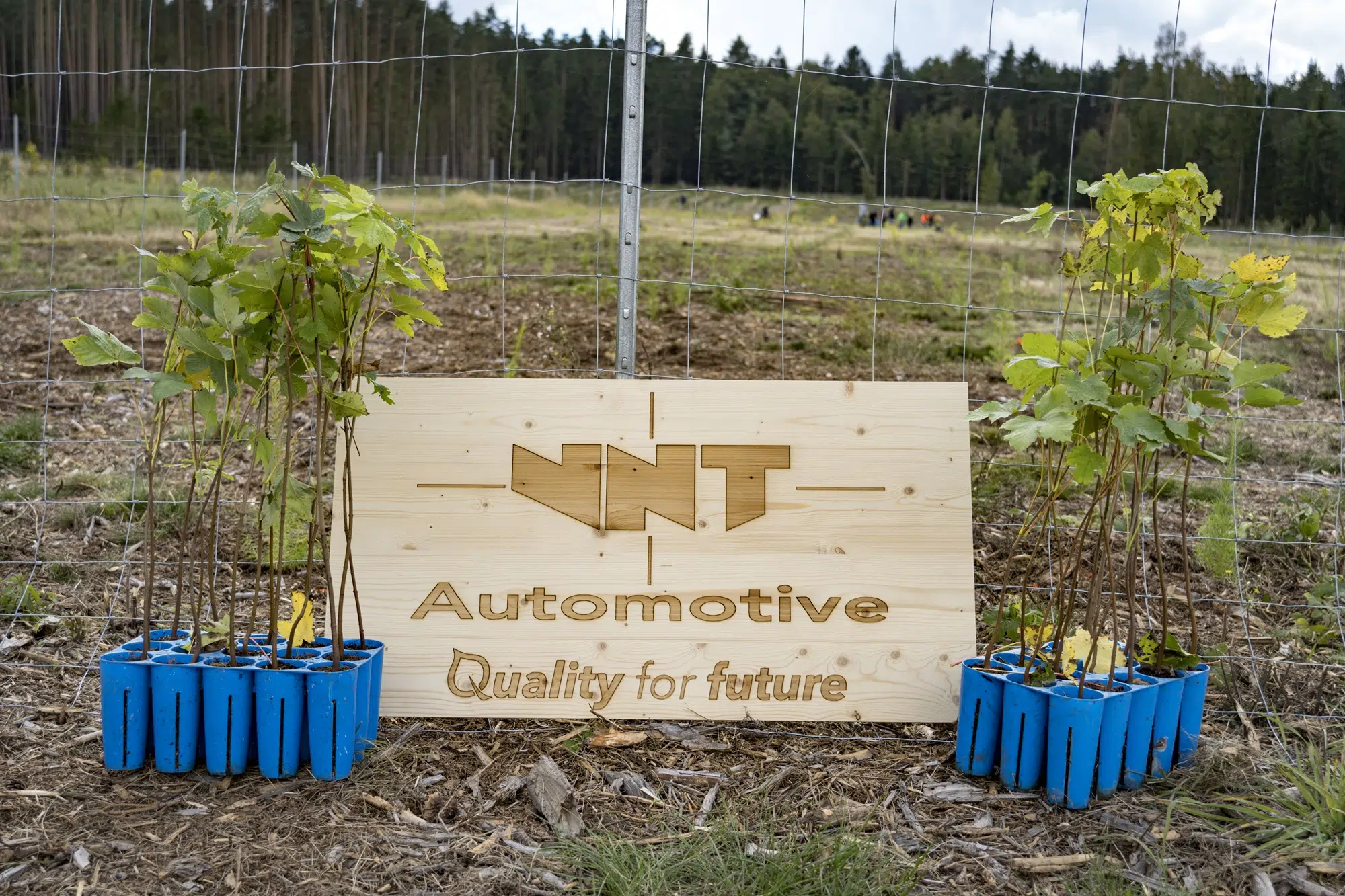 Teambuilding von VNT Automotive auf der Aufforstungsfläche in Neuriegers.